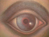 Orfico